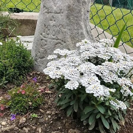 Beb Aria Di Montagna * Forcola